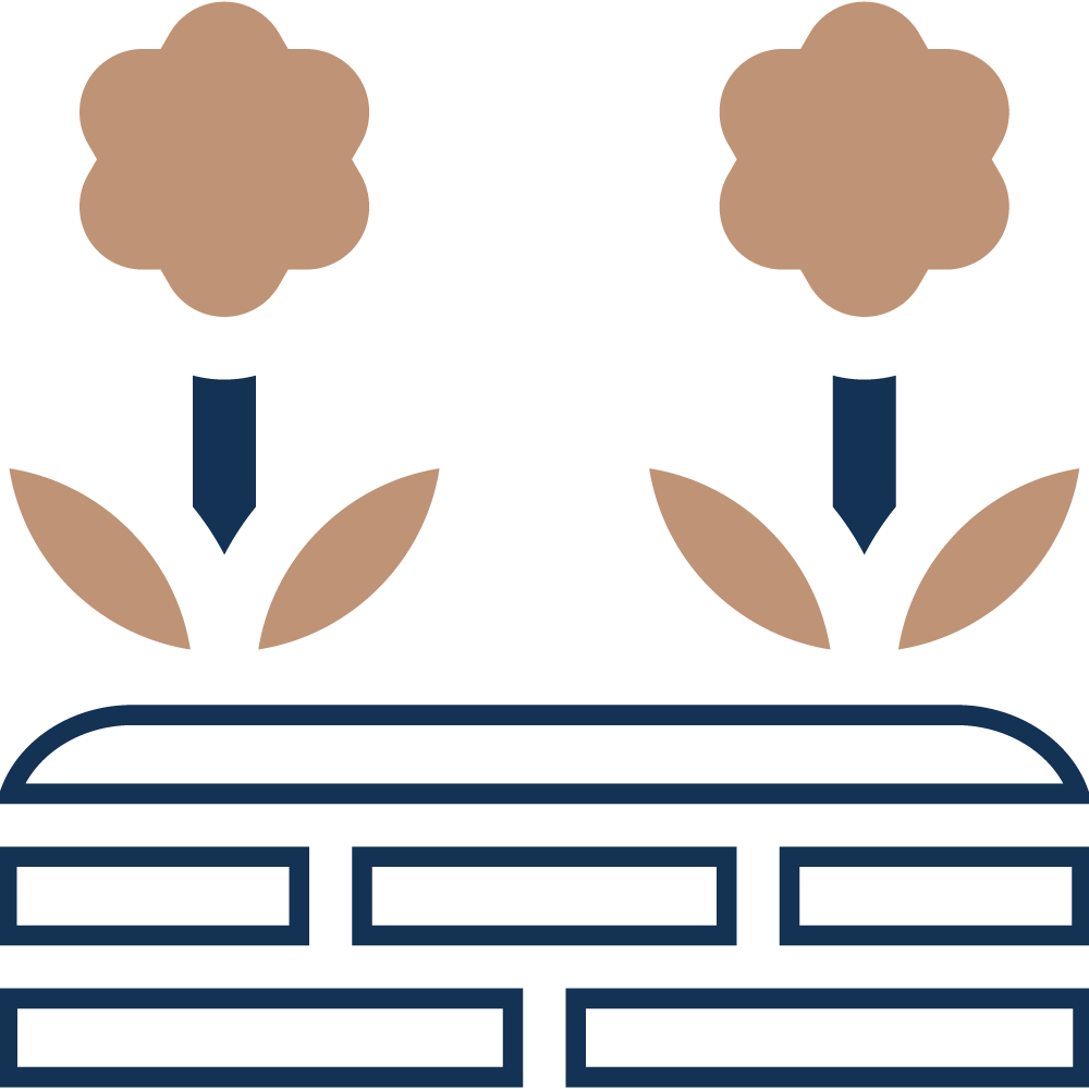 Rooftop Garden